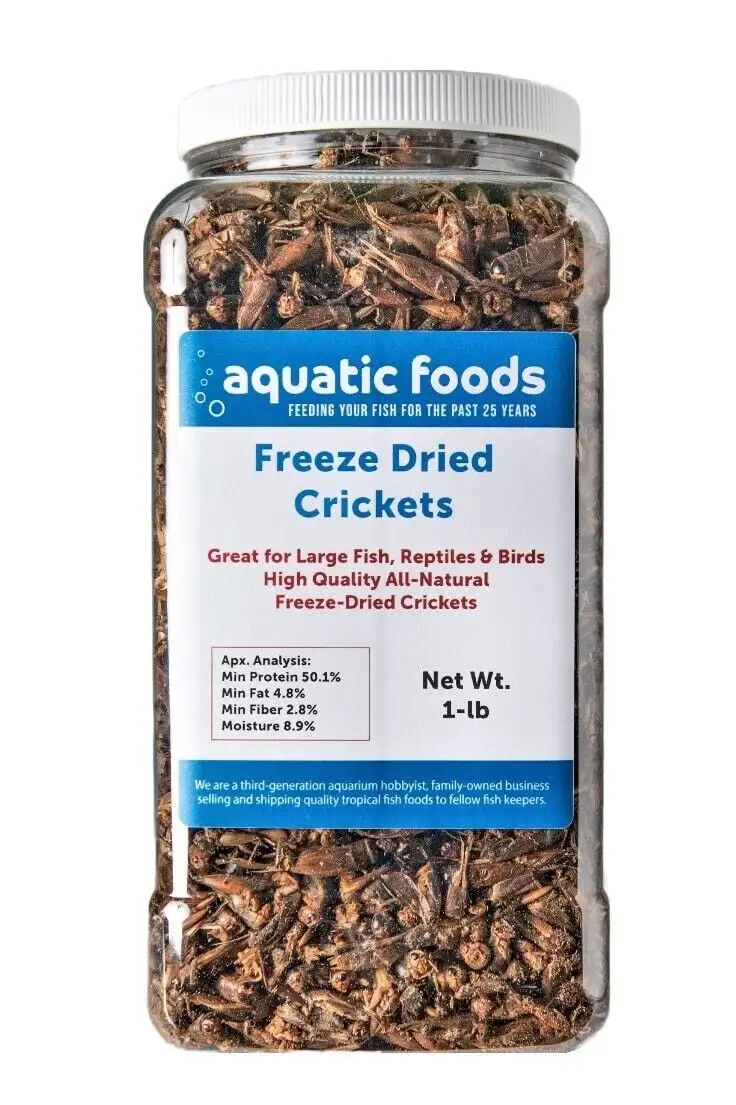 Crickets - Freeze Dried Crickets for Tropical Fish. Reptiles. Turtles. Tortoises Frogs. Hamsters. Birds. Rodentsa?|1-lb Lg Jar