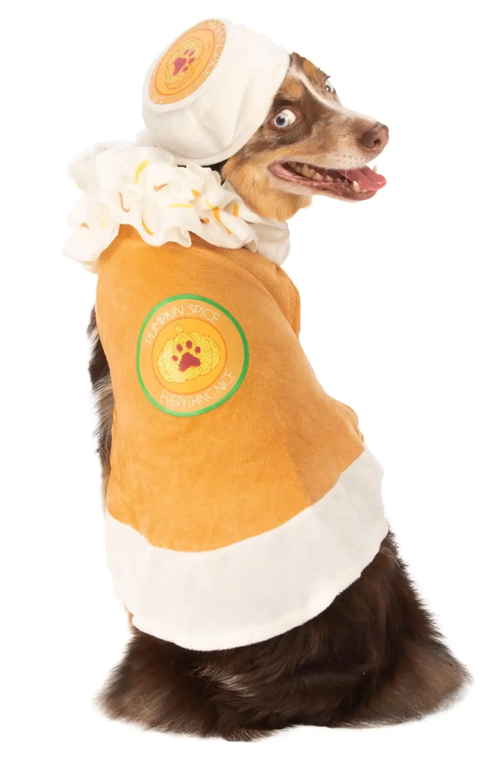 Pumpkin Spiced Latte Pet Costume