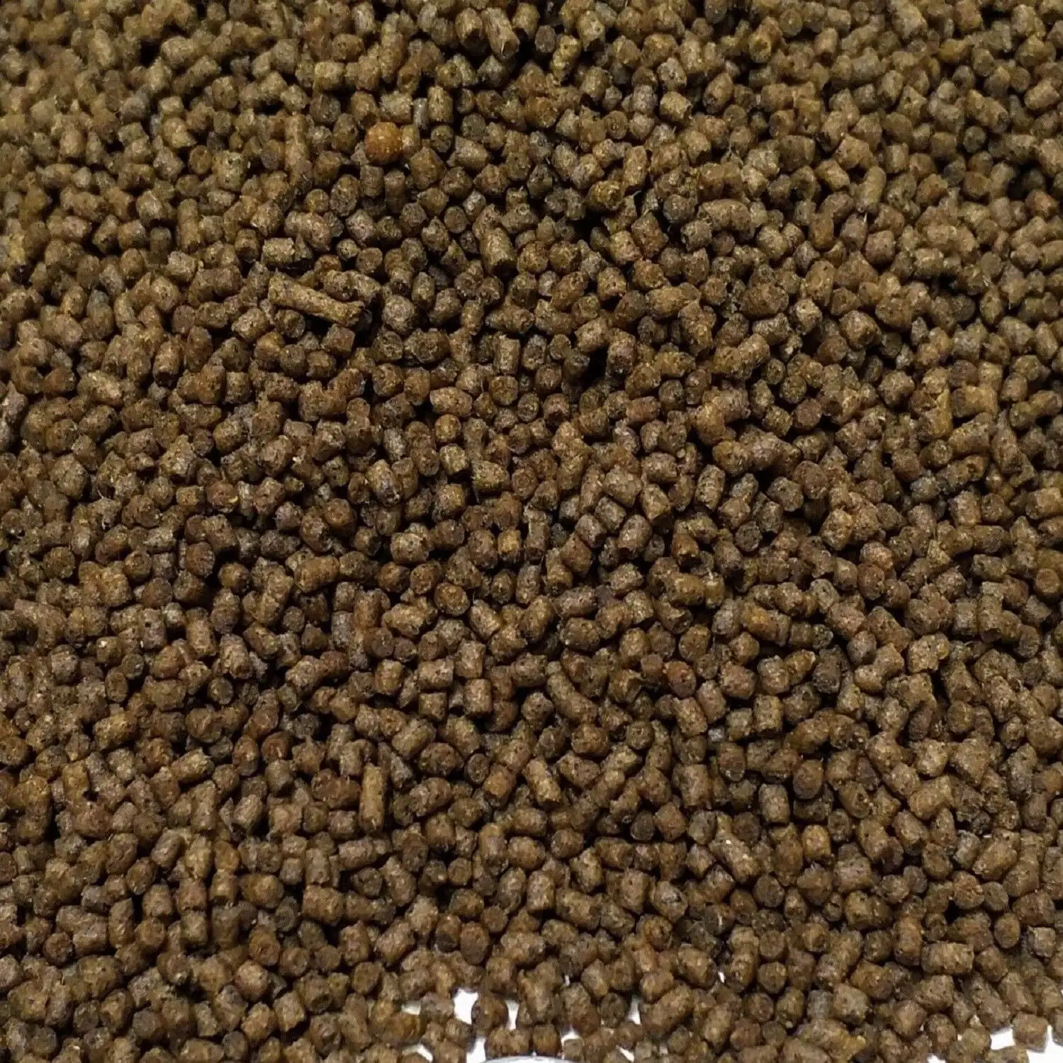 1/16 Bulk 50% Protein Floating Cichlid Pellets. Tropical Fish Fooda?|1/2-lb