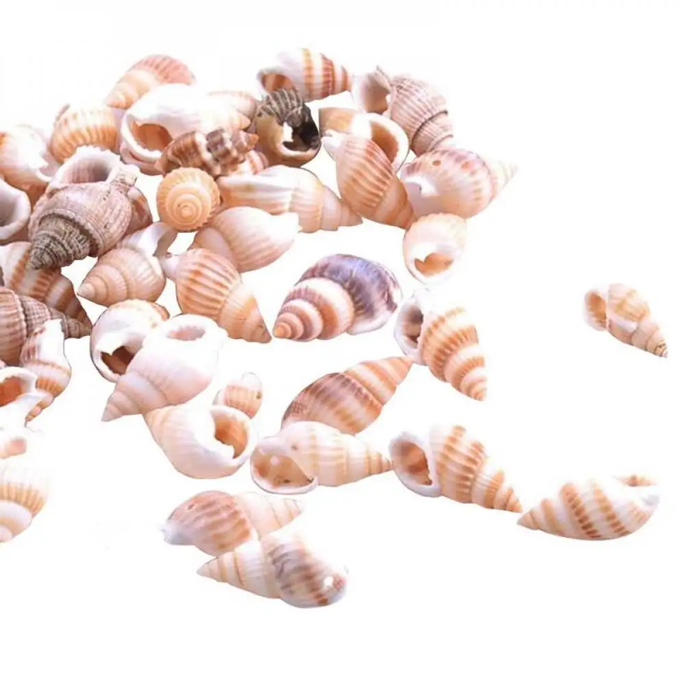 100PCS Natural conch shells Aquarium decoration party festival Home Decor Natural Sea Beach Shell Conch Seashells For DIY Crafts