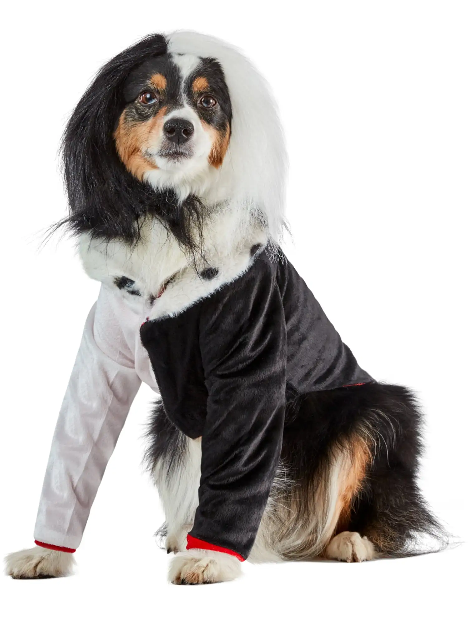 101 Dalmatians: Cruella Deville Pet Costume