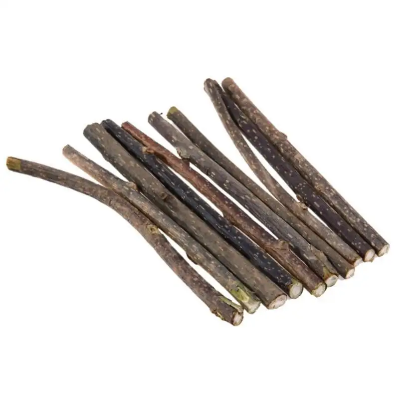 10pcs Catnip Sticks Cat Chew Toy. Cat Molar Teeth Cleaning Stick Natural Catnip Chew Stick Treat Pet Cat Kitten Toy