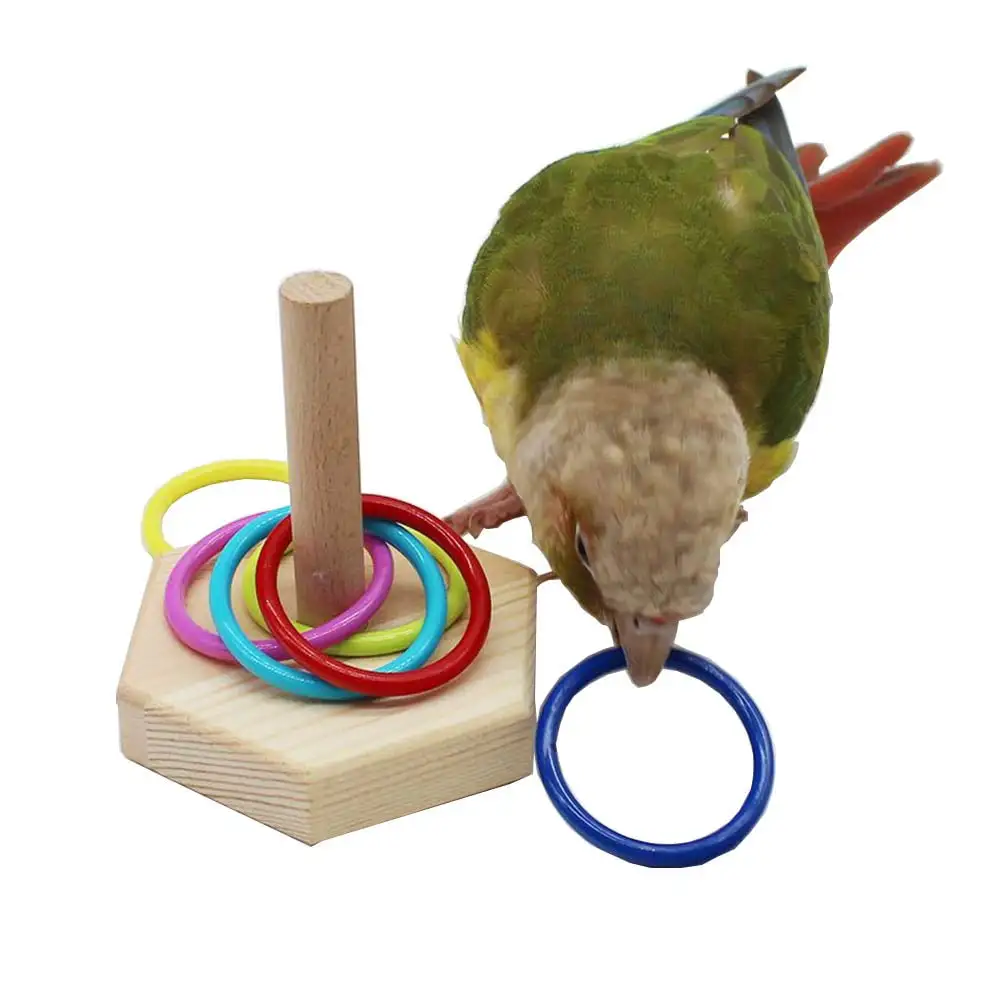 QBLEEV Bird Toys. Bird Trick Tabletop Toys. Training Basketball Stacking Color Ring Toys Sets. Parrot Chew Ball Foraing Toys. Education Play Gym Playground Activity Cage Foot Toys