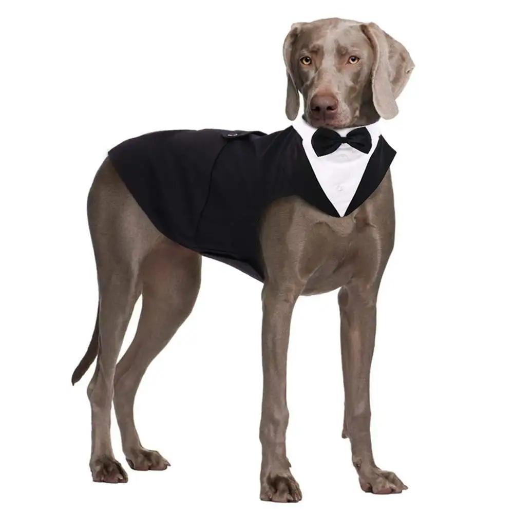 QBLEEV Dog Formal Tuxedo Suit for Medium Large Dogs .For Costume Wedding Party Outfit with Detachable Collar .Elegant Dog Apparel Bowtie Shirt and Bandana Set for Dress-up Cosplay Holiday Wear