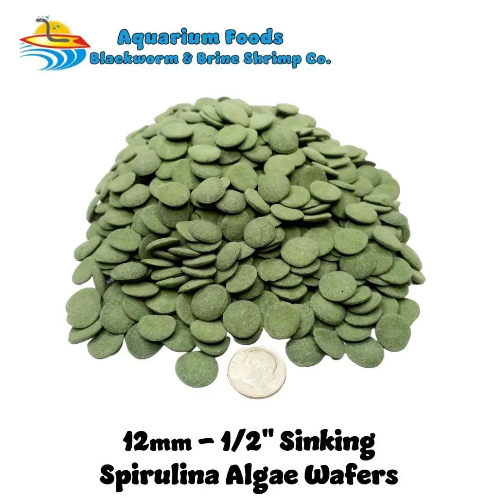 12mm-1/2 Spirulina Algae Sinking Wafers. Tropical Fish Fooda?|2-lb