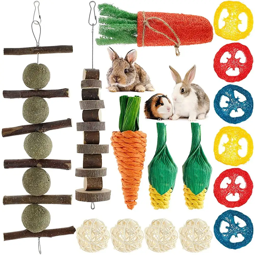 16Pcs Rabbit Chew Toys Set Natural Bunny Chew Toys for Teeth Rabbit Toys Guinea Pigs Small Animals Chew Toys with Apple Wood Grass Ball String Loofah Carrot for Rabbit Bunny Hamster Small Animals