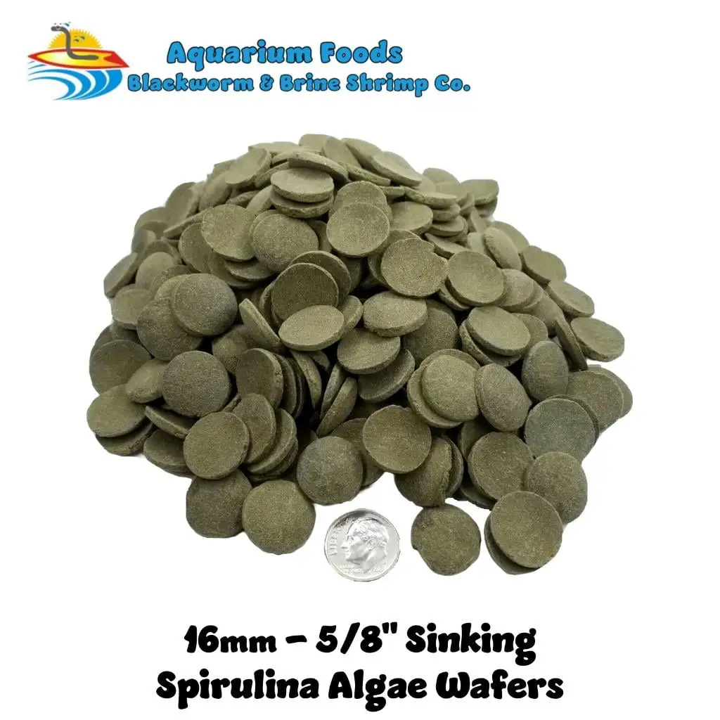 16mm-5/8 Spirulina Algae Sinking Wafers. Tropical Fish Food...8oz