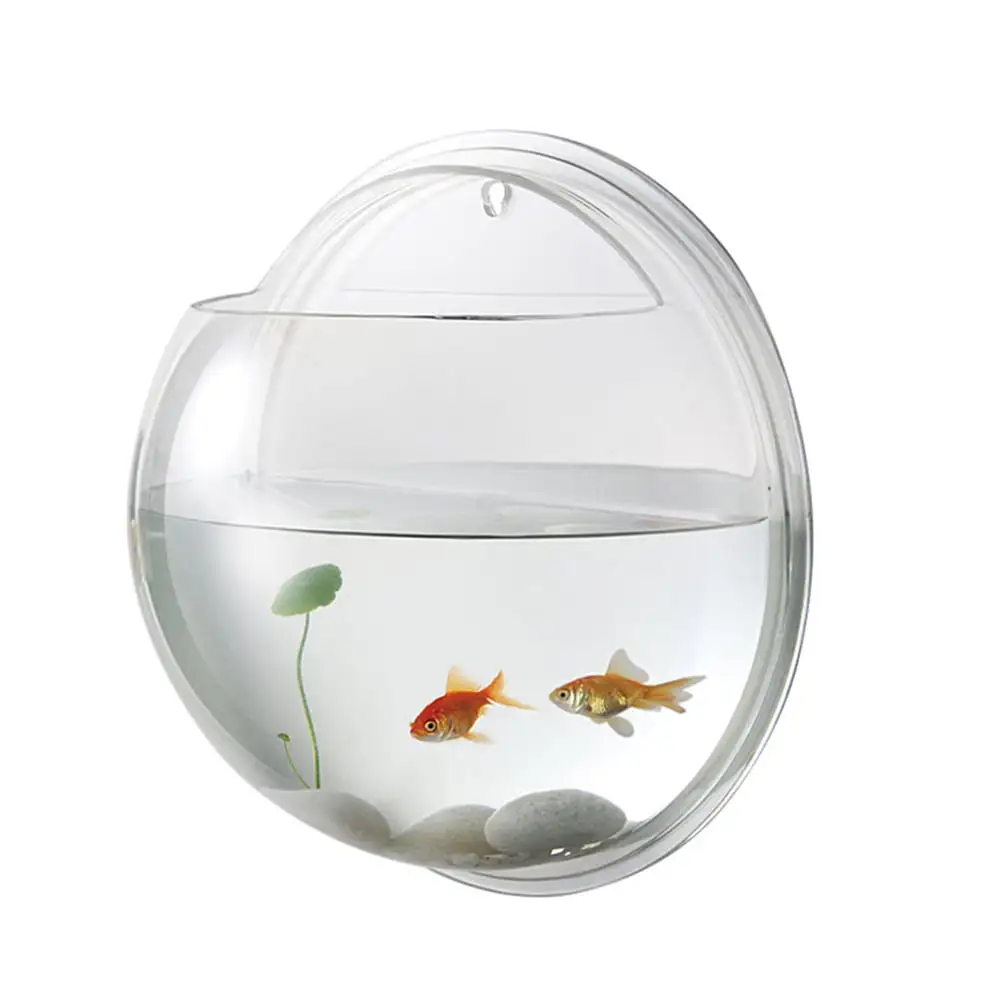 19.5cm Diameter Creative Wall Mounted Acrylic Fish Bowl Hanging Aquarium Fish Tank Transparent Home Ornament