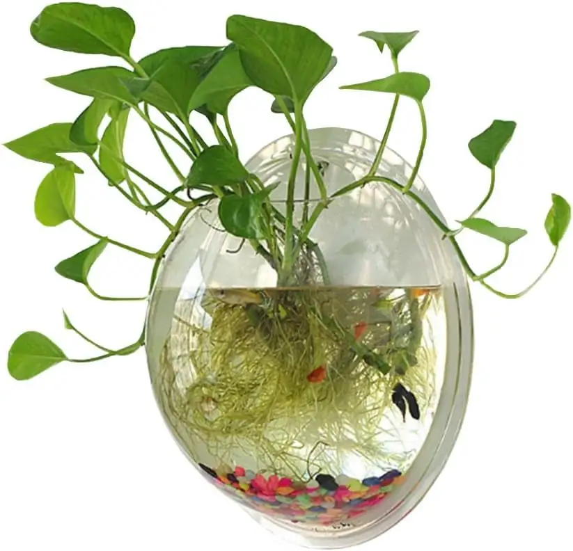 1Pc/2Pcs Hanging Wall Mounted Fish Tank Bowl Aquarium Wall Decor Plant Fish Bubble