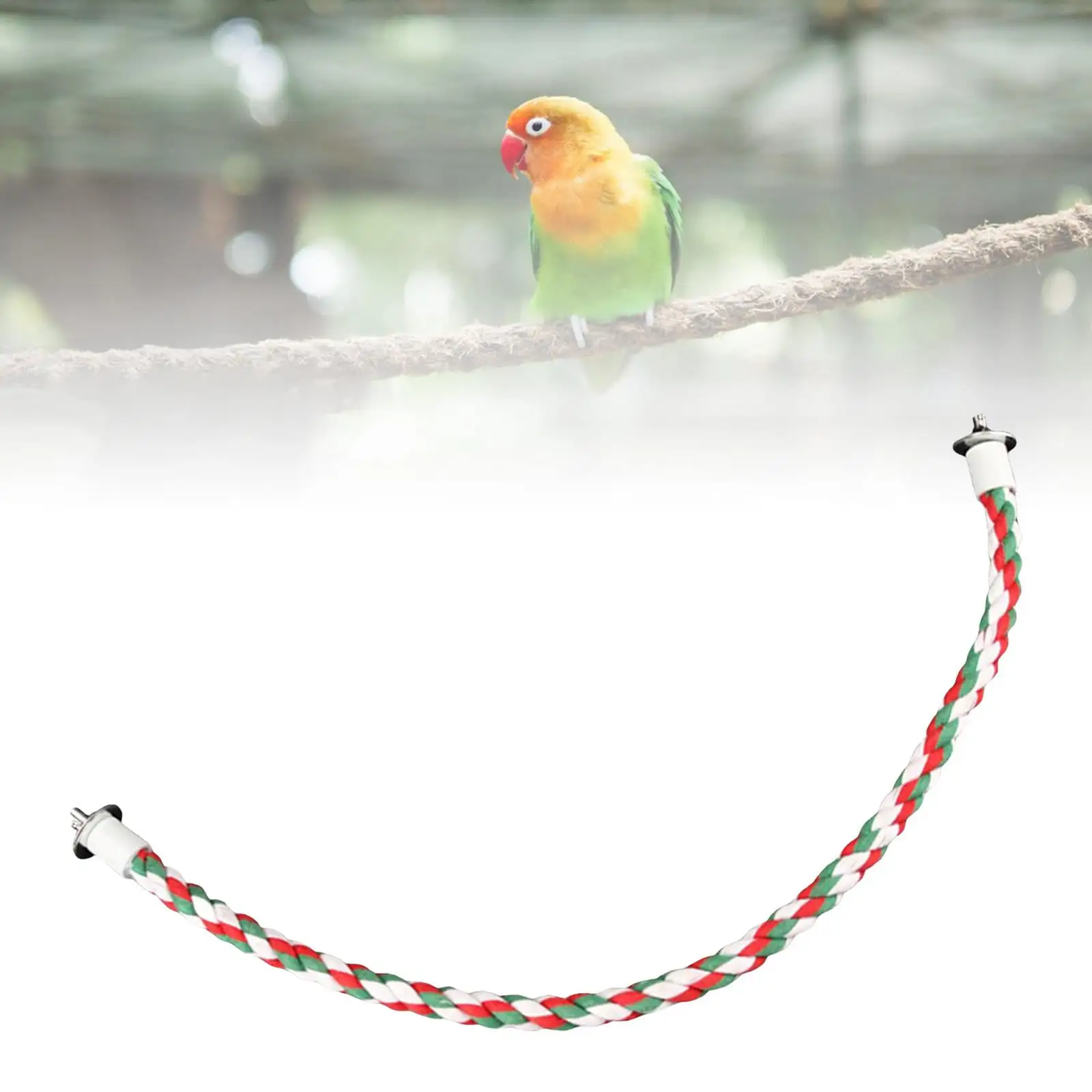 Bird Rope Perch Parrot Climbing Rope Rope Toy for Cockatiels Finches Budgie 62cm