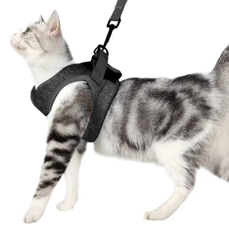 Cat Harness and Leash Set Escape Proof Safe Cat Vest Harness for Walking Outdoor Adjustable Soft Mesh Breathable Body Harness Easy Control for Small. Medium. Large Cats