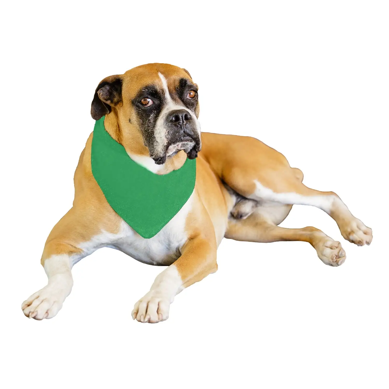 2-Pack Solid Polyester Dog Neckerchief Triangle Bibs - Extra Large (Green)