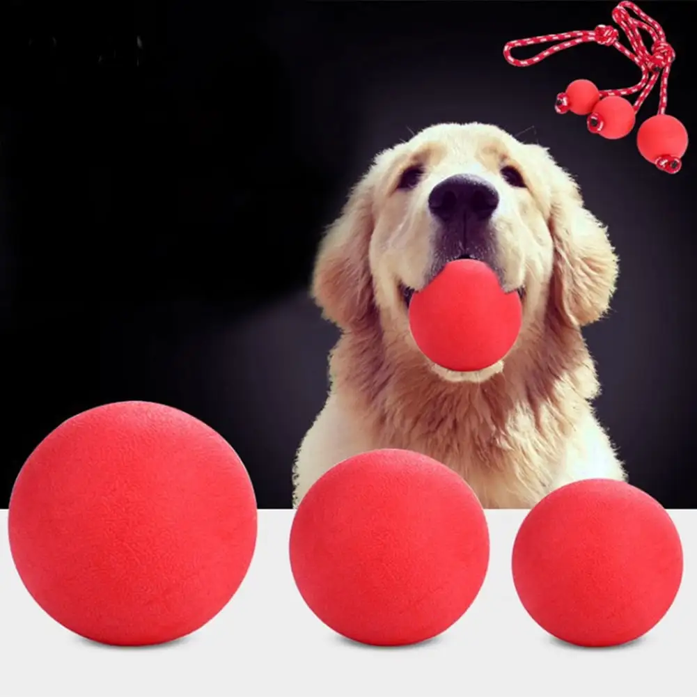 SPRING PARK Solid Training Rubber Ball Pet Puppy Dog Chew Play Fetch Bite Toy