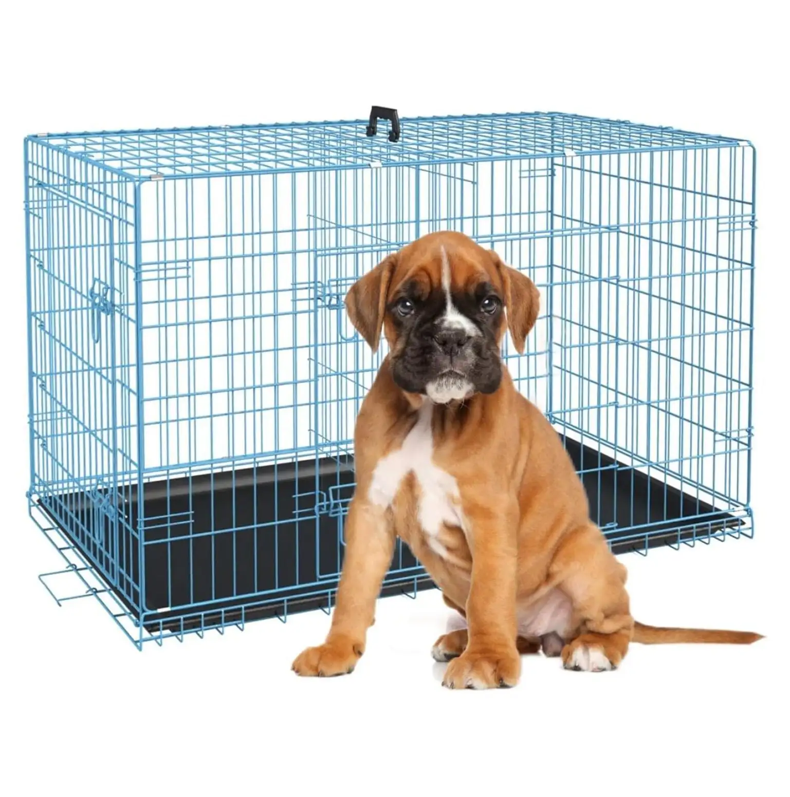 24 Inch Small Dog Crate. Dog Kennel Metal Wire Folding Dog Crates for Small Dogs. Dog Cage with Double-Door. Divider Panel. Locks. Trays. Wire Crates for Dogs(24 in. Blue)