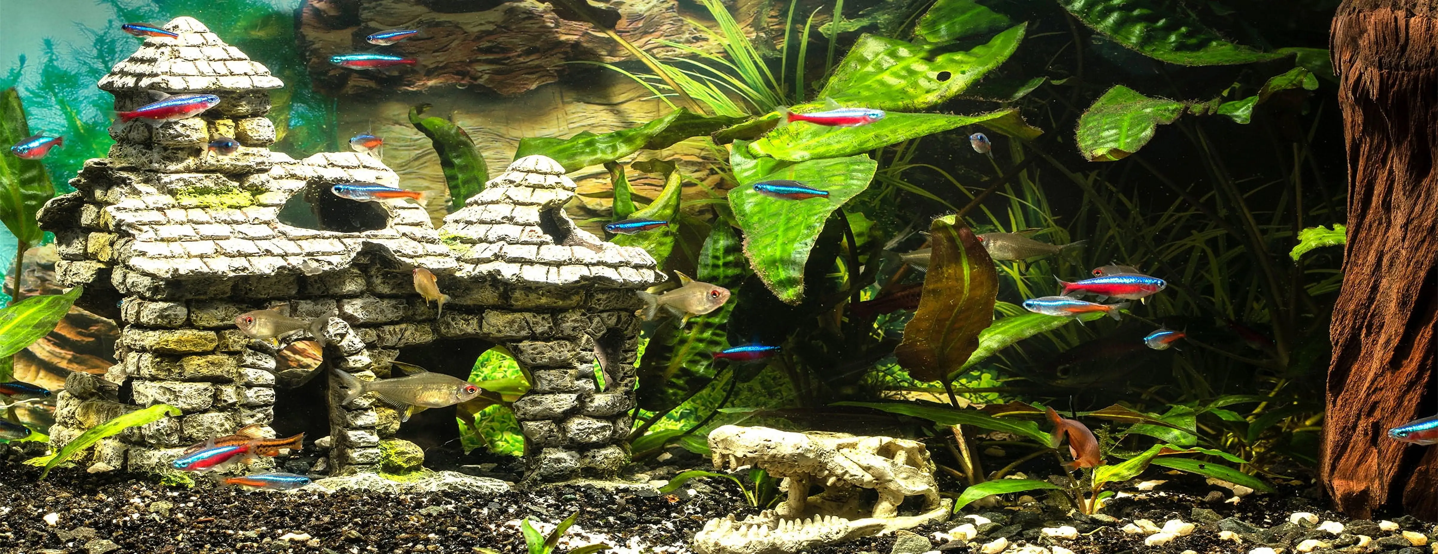 24X12IN. Aquarium Background. River Bed & Lake Aquatic Plant Fish Tank Background. with 8 EVA Double-Sided Tape