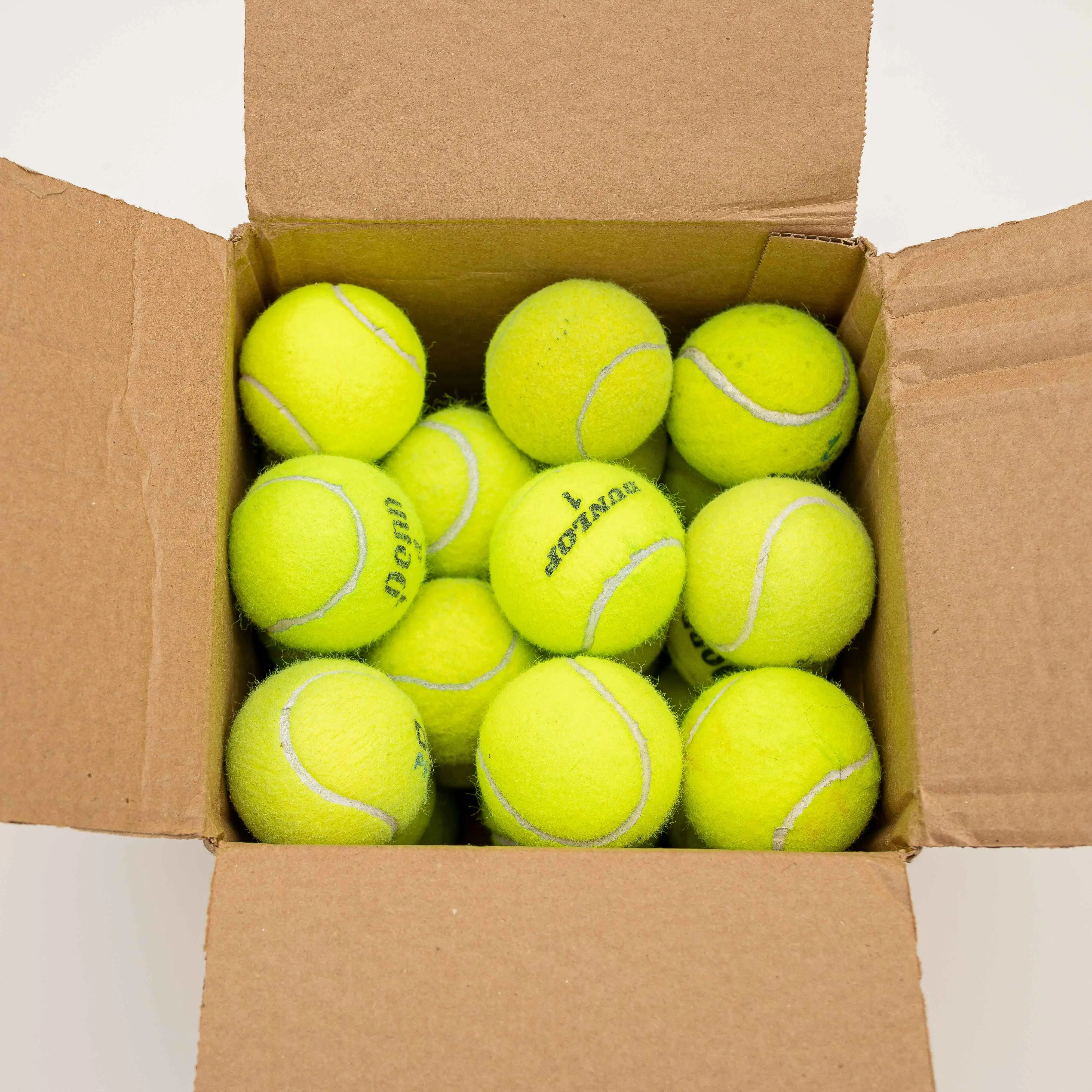 25 Tennis Balls for Dogs Toys & Heavy Chewers