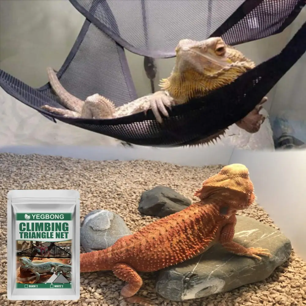 2PCS Bearded Dragon Lizard Hammock Reptile Hammock Lounger Ladder Bearded Dragon Hammock Accessories for Bearded Dragons Geckos Lizards Reptile