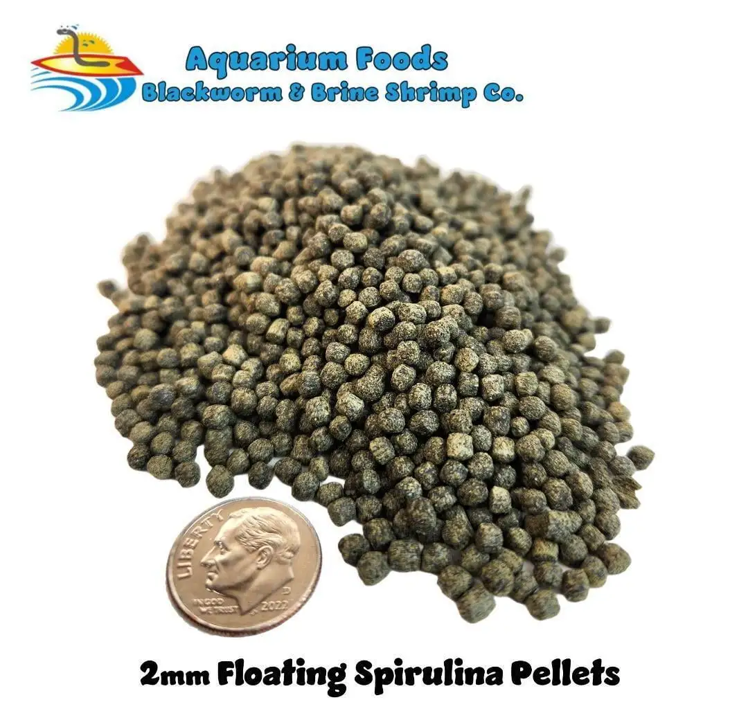 2mm Floating Spirulina Pellets Great For Saltwater. Tropical. Goldfish. Koi Fish...1-lb