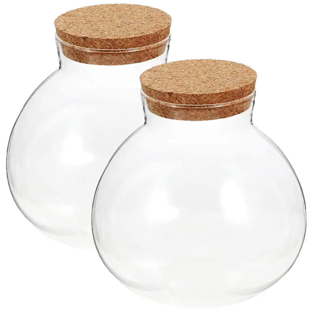 2pcs Sealed Clear Terrarium Glass Bottle Microlandscape Glass Jar Spherical Ecological Bottle