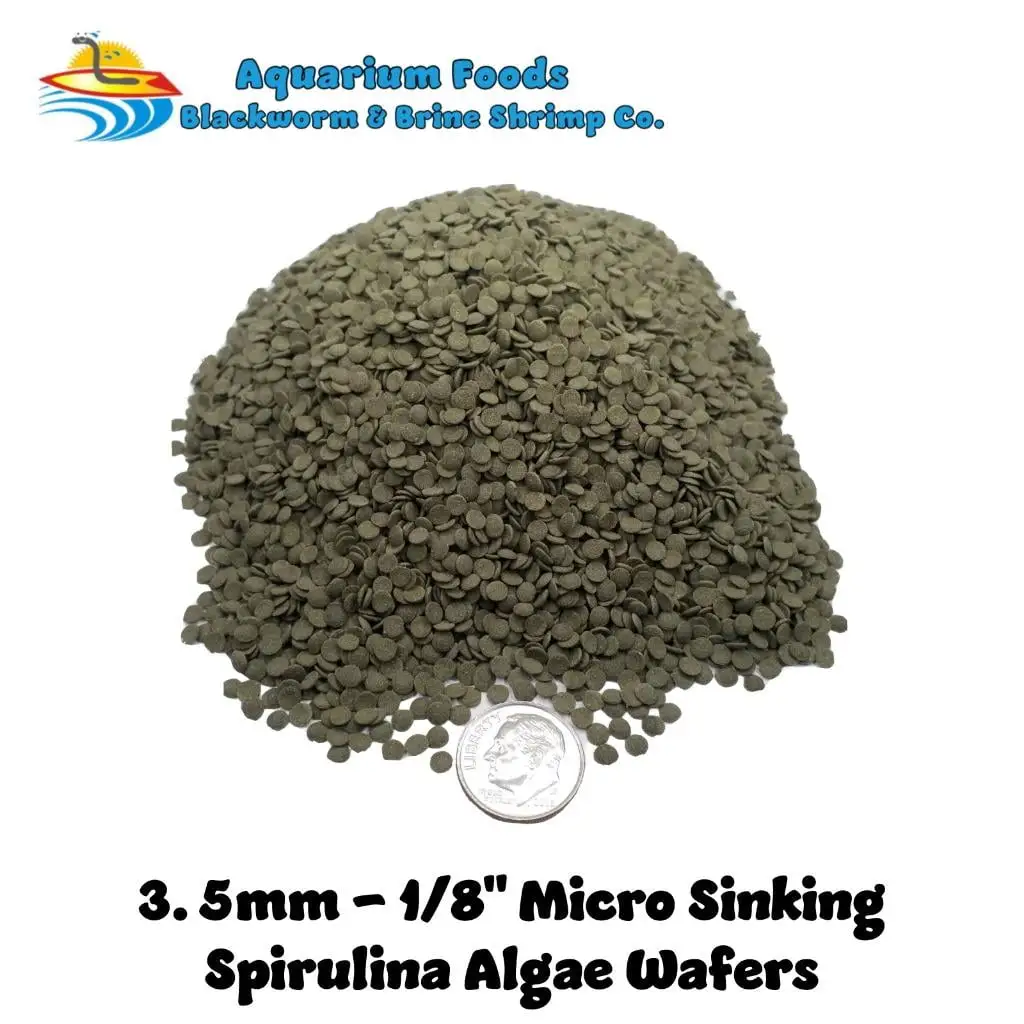 3.5mm-1/8 Large Spirulina Algae Sinking Wafers. Tropical Fish...1-lb