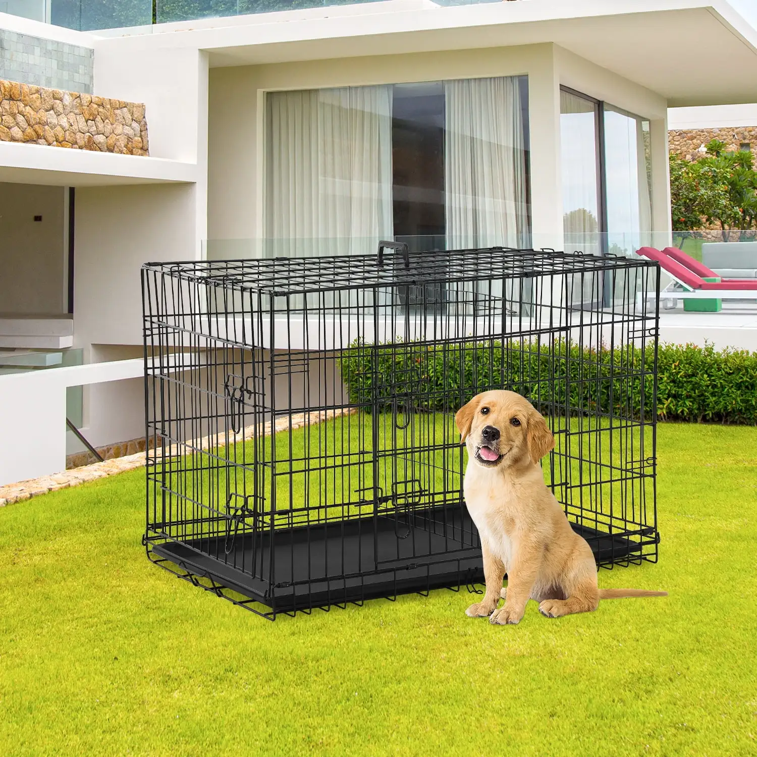 30 Inch Dog Crate for Small Dogs. Folding Metal Wire Crates Dog Kennels Outdoor and Indoor Pet Crate with Double-Door. Black