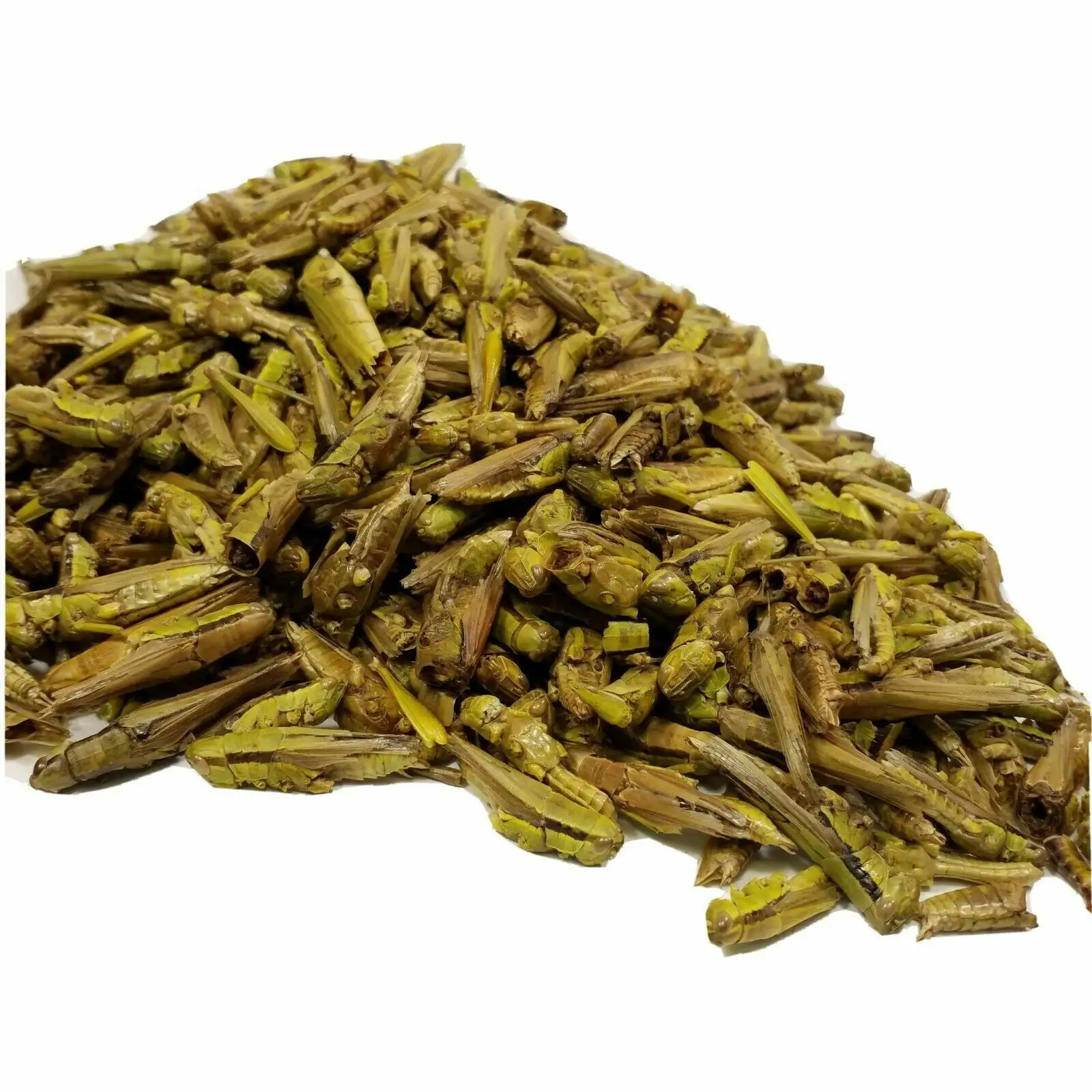 Grasshoppers - Freeze Dried Grasshoppers. Freeze Dried Gourmet Mix Included??1/2-lb