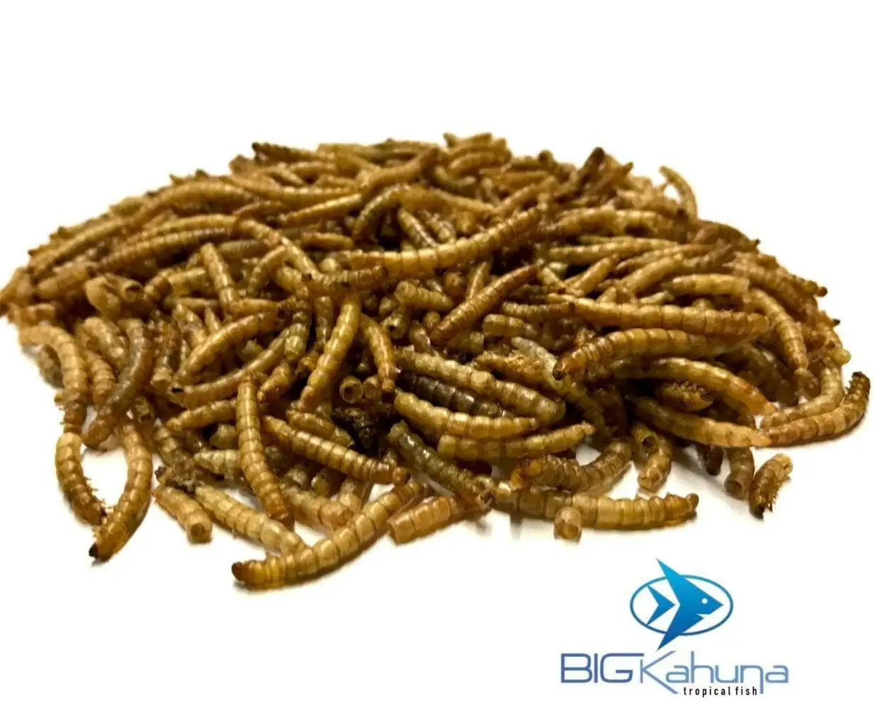 Big Kahuna Freeze Dried Mealworms