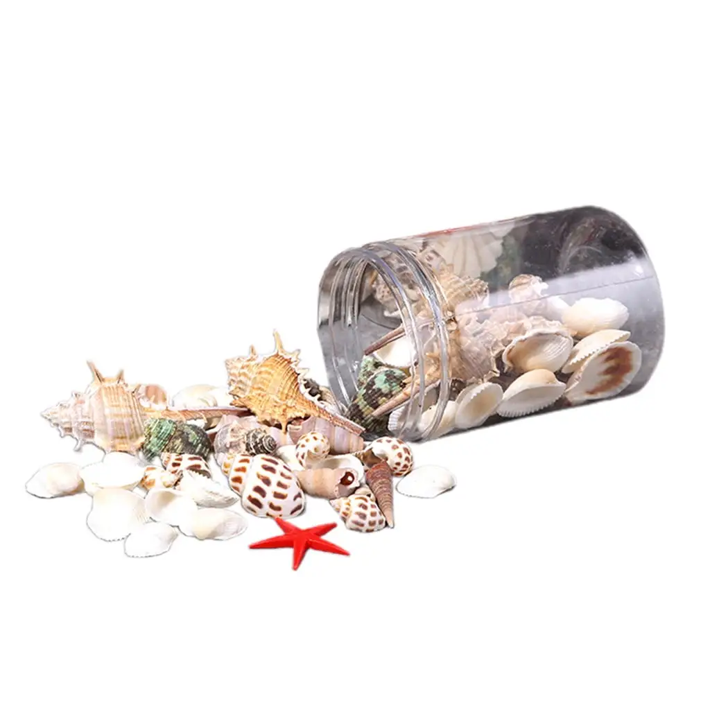 Sea Shells Aquarium Decor Mixed Beach Seashells Starfish Sea Snail Sea Coral