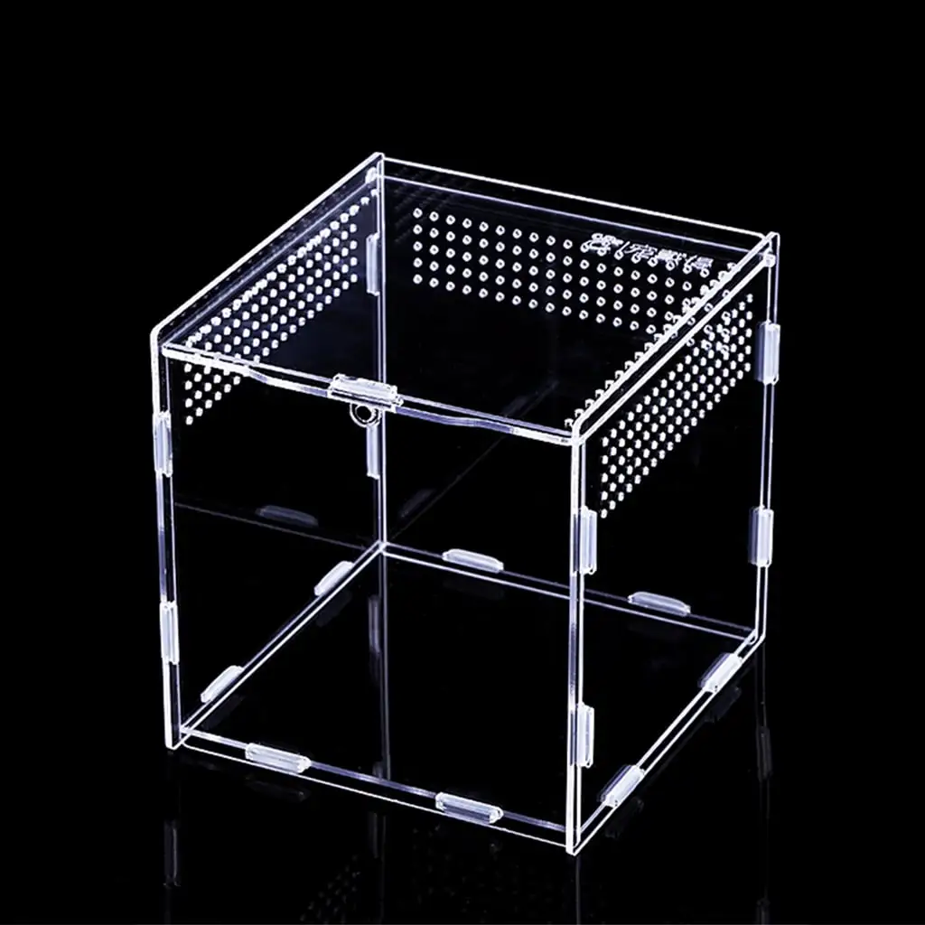 Reptile Feeding Box Breeding Case Acrylic Terrarium for Mini Reptile Small Snake