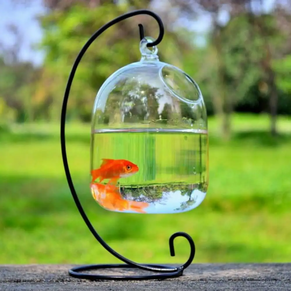 Kernelly Hanging Glass Terrarium Clear Large Glass Vase With Bent Stable Stand Glass Mini Fish Tank Flower Vase Plant Bottle Garden