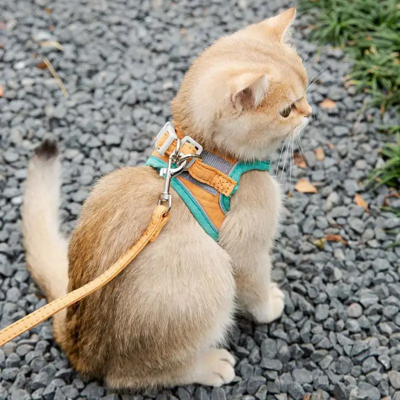 Cat Harness and Leash Set. Escape Proof Kitten Harness Adjustable Cat Vest Harness. Universal Cat Leash and Harness for Cats/Puppies Outdoor Walking