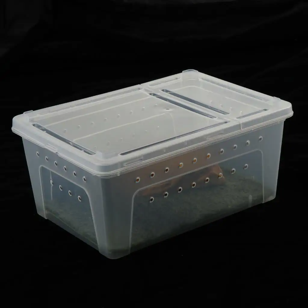 Box Reptiles Transport Breeding Feeding Case with Carpet