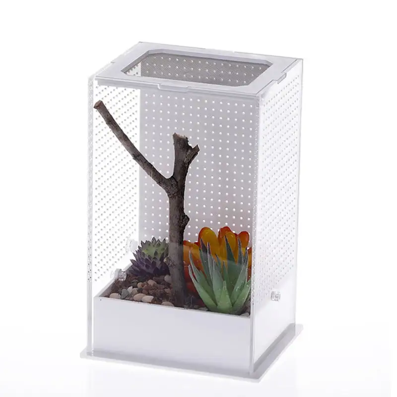 HGYCPP Reptile Feeding Box Clear Terrarium Containers for Spider Lizard Beetle Mantis