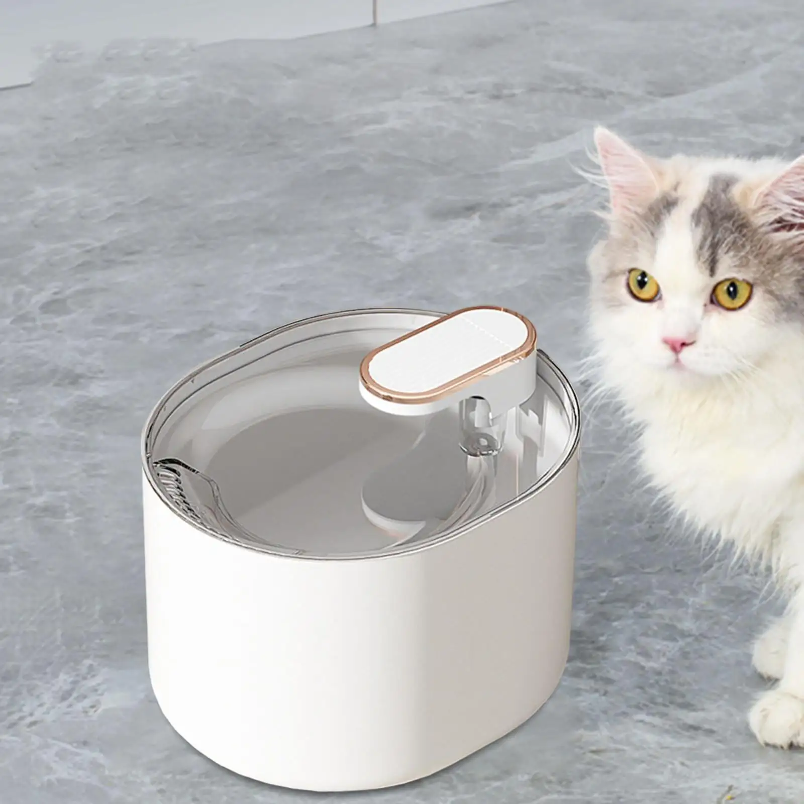 Cat Water Fountain Easy to Clean 3L with Filter Dish Adjustable Silent Automatic Water Pet Dispenser for Multiple Pets Puppy Kitten White