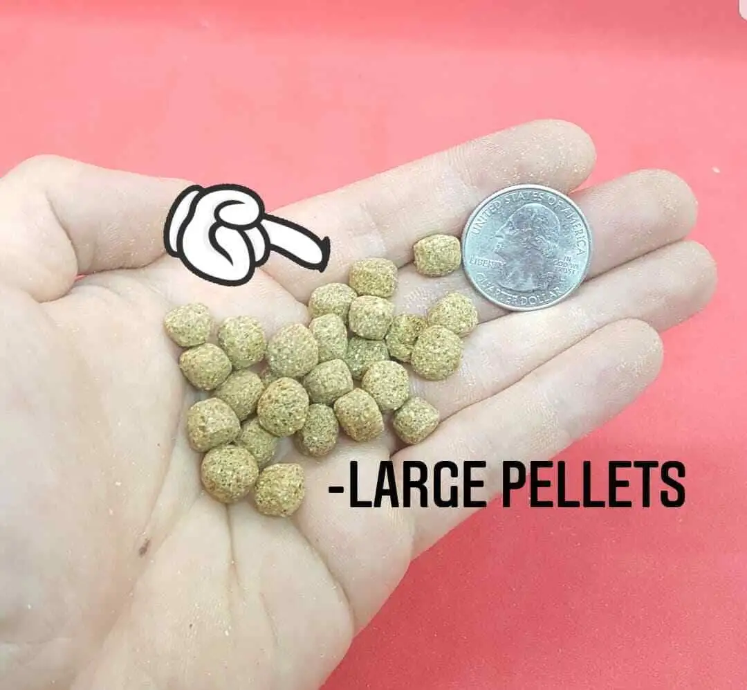 BEST Koi Goldfish Fish Food Floating Pond Pellets Medium or Lrg *CHOOSE*