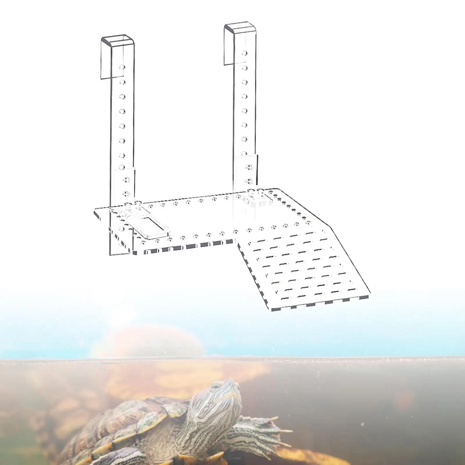 Clear Tortoise Floating Platform Reptile Climbing Dock Accessoires De Terrarium Pour Tortues Terrapin Frog Tritons Salamandres Installation Facile Size S