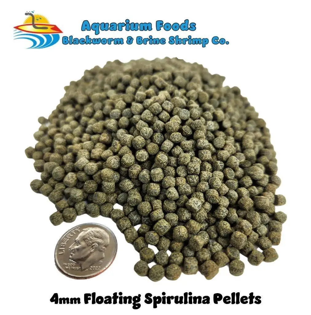 4mm Floating Spirulina Pellets Great For Saltwater. Tropical. Goldfish. Koi Fish...1-lb