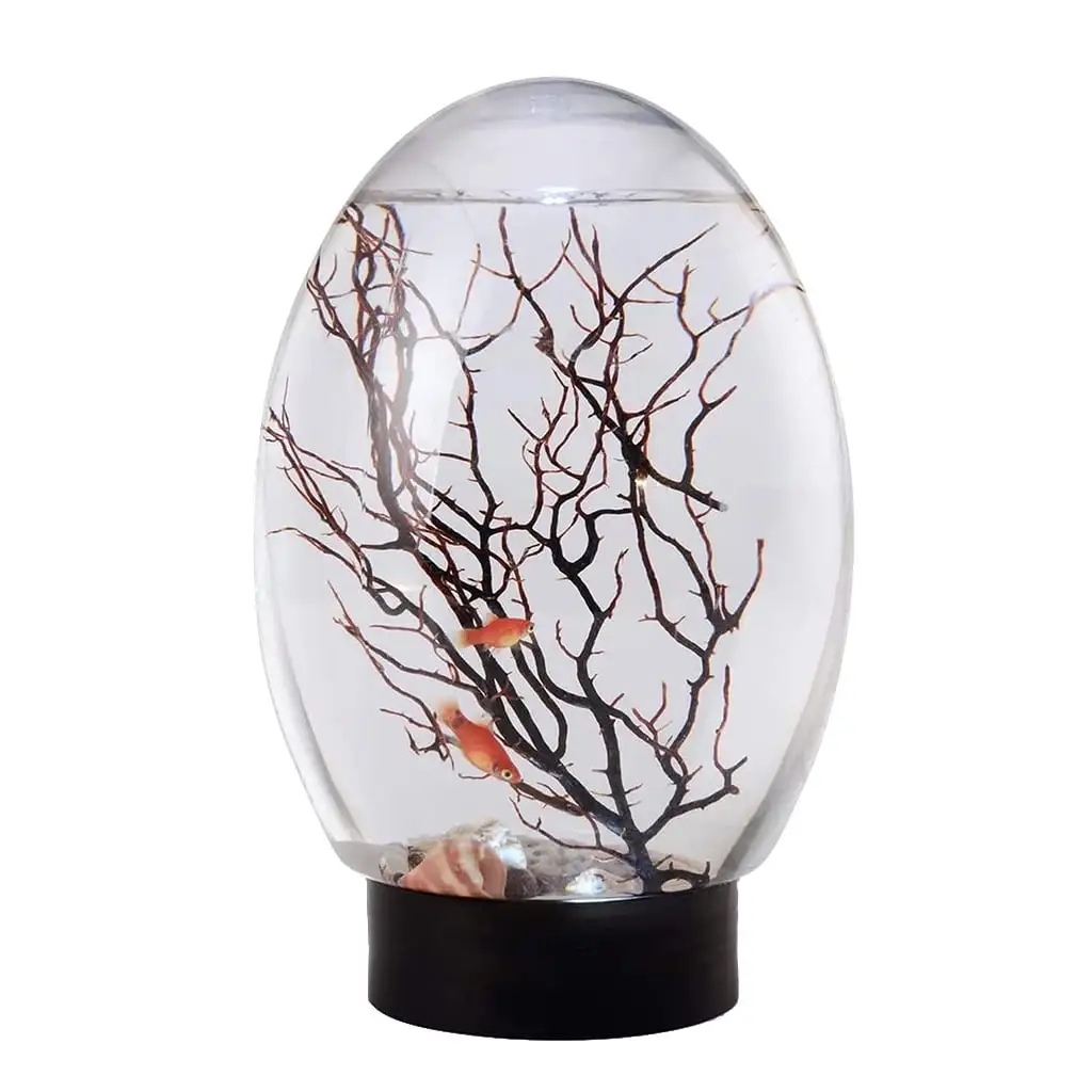 19x8.2cm/7.48x3.23in Closed Aquatic Ecosystem Simple Transparent Design