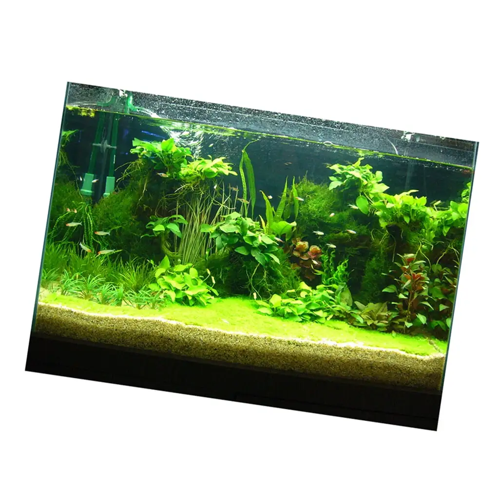 Attractive 3D Plants Image Aquarium Background Poster/Fish Tank Landscape - 61x41cm