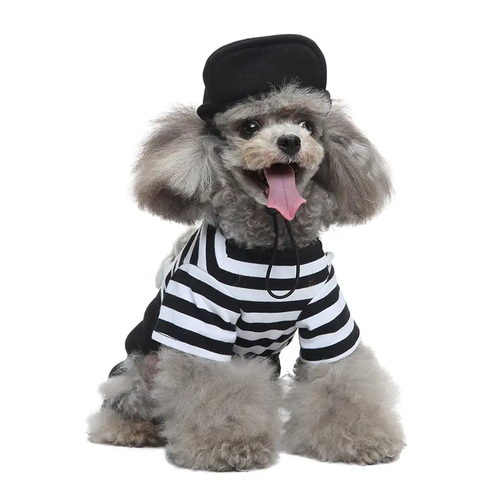 Dog Halloween Costume with Hat. Thief