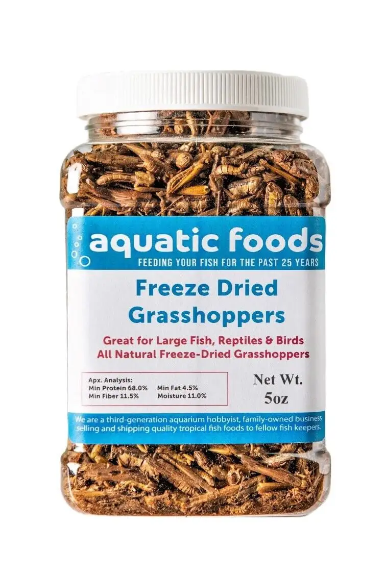 Grasshoppers - Freeze Dried Grasshoppers for Tropical Fish. Reptiles. Turtles. Tortoises Frogs. Hamsters. Birds. Rodentsa?|5oz Med Jar