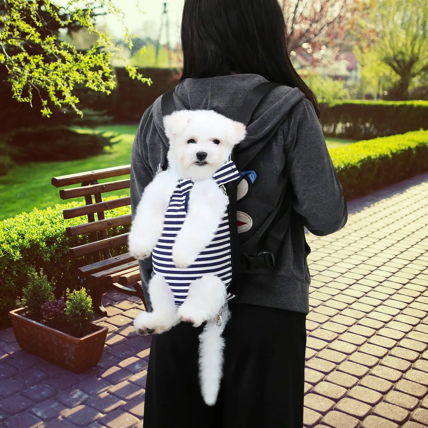 Dog Carrier Backpack Legs Out Front Pet Backpack Carrier Travel Bag Adjustable Shoulder Straps for Hiking Camping Shopping Biking