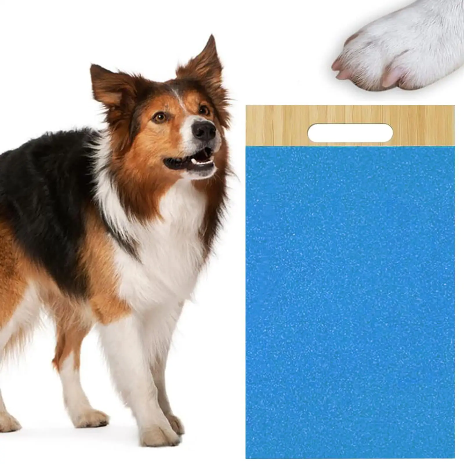 Dog Scratch Pad Dog Nail File Scratching Board Wooden 14.6 x 8.7Inches Interactive Pet Toy Dog Nail for Dogs Cats Pet Supplies Blue