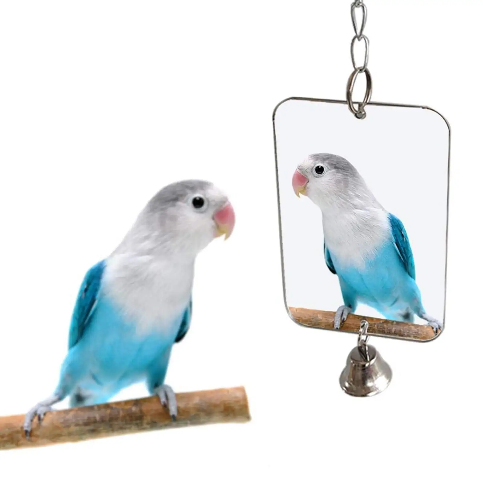 Walbest Bird Mirror with Bell.Parrot Cage Toys.Pet Bird Acrylic Mirror with Mirror for Greys Parakeet Cockatoo Cockatiel Conure Lovebirds Canaries Little Macaw African Parrot (3.76x2.26in)