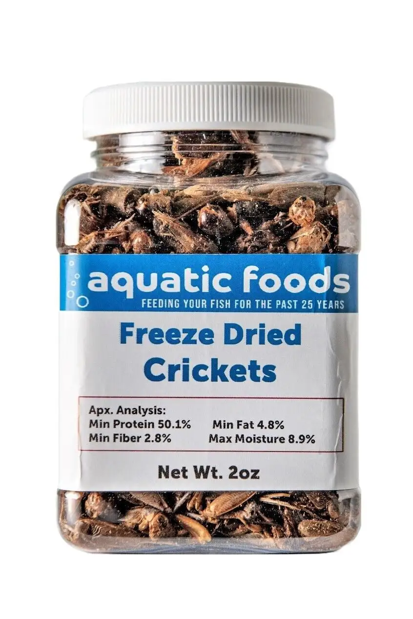 Crickets - Freeze Dried Cricketsa?|Small Jar 2oz