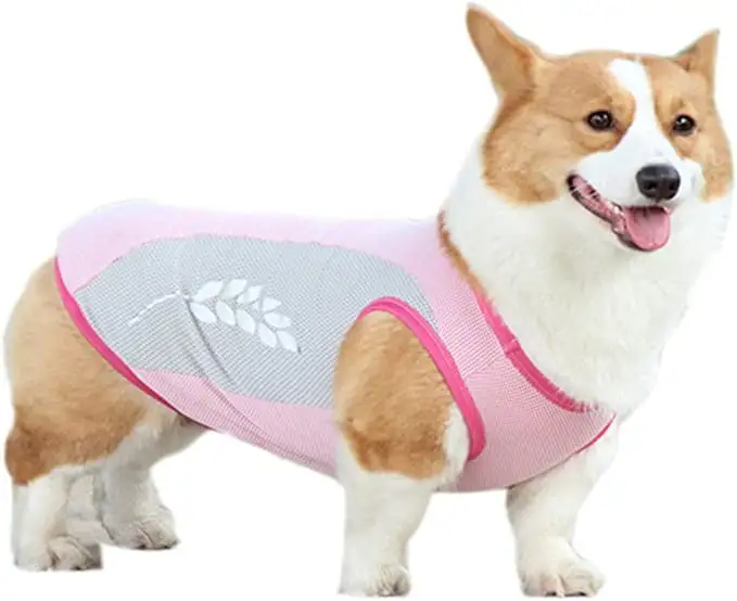 BT Bear Dog Cooling Vest Puppy Shirt Summer Cool Breathable T-Shirt Costume for Small Medium Large Dog (XL. Pink)