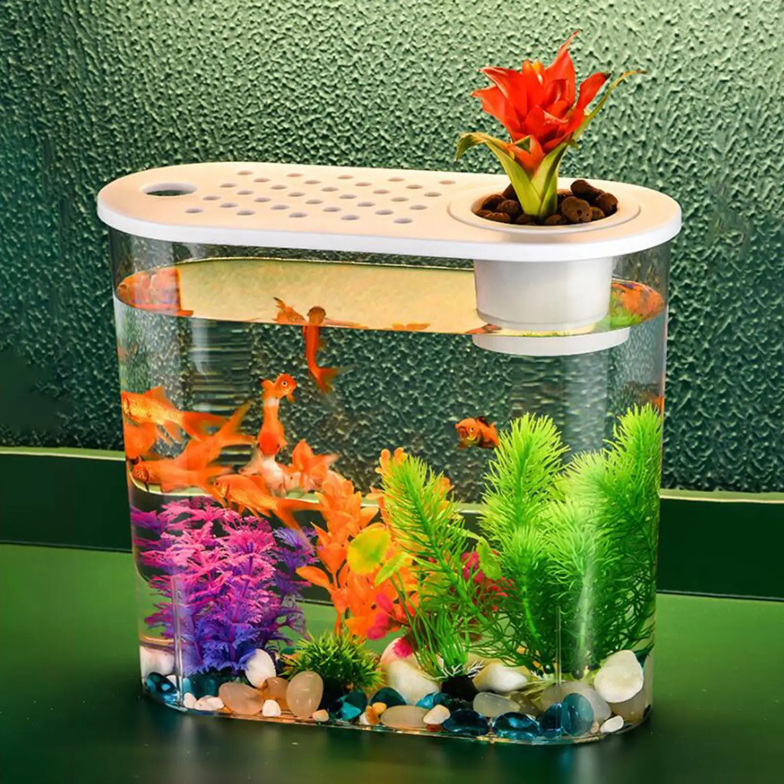 Small Desktop Aquarium for Goldfish Tropical Fish Turtle Tank Mini Fish Tank Soil Cultivation