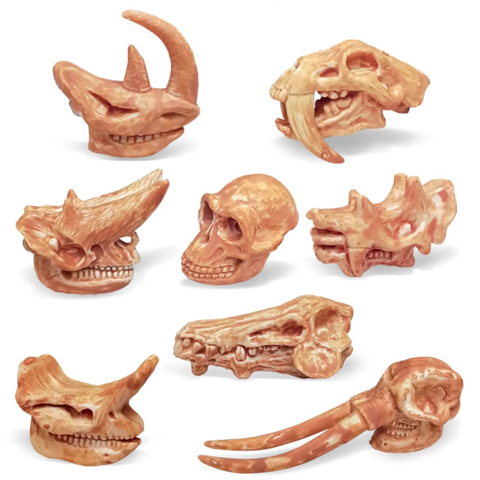 SPRING PARK 1 Set Fossil Toys for Early Childhood Education Cognition. Dinosaur Skull High Simulation Aquarium Decor Plastic Fossil Teaching Skeleton Model