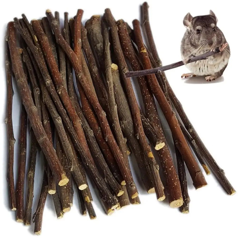 Manunclaims 20/40/60Pcs Natural Apple Sticks Small Animals Molar Wood Treats Toys Chinchilla Guinea Pig Hamster Rabbit Gerbil Parrot Bunny and Small Animals Chew Stick Toys Treats