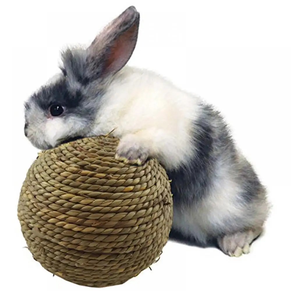 Saient Rabbit Chew Ball Grinding Small Animal Activity Play Chew Toys for Bunny Rabbits Hamsters Guinea Pigs Gerbils